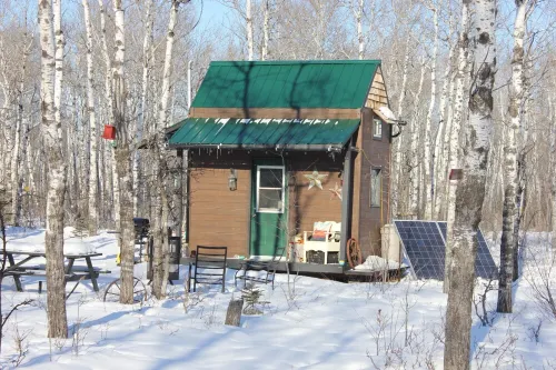 Micro-cabin nestled in secluded forest