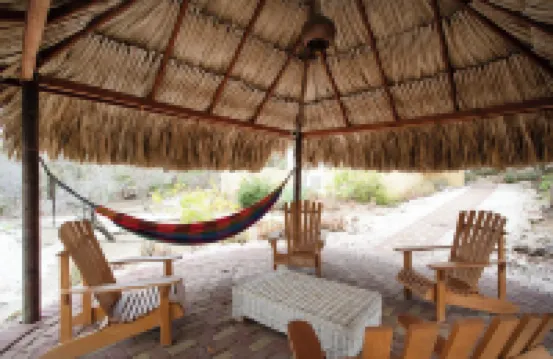 Holiday Home Gran Veranda with private pool and ocean view, Coral Estate