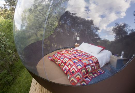 모이뇨 두 마네이오