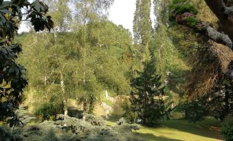 Le Jardin D Eau