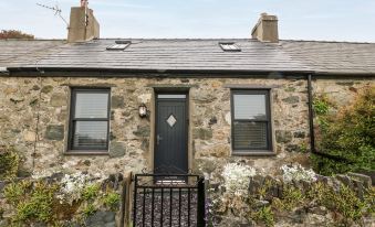 2 Rhoslyn