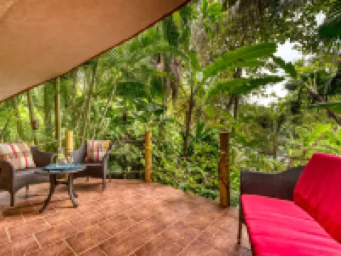 Ylang Ylang Beach Resort Hotels in Montezuma
