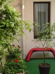 Albergo Verdi