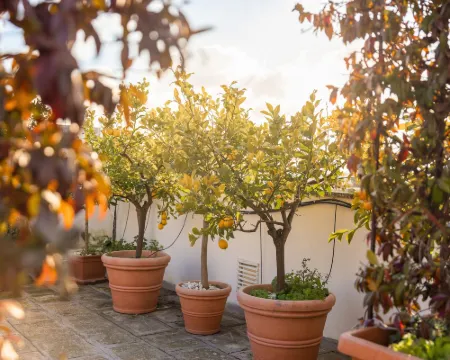 พาลาซโซสาวิโน โรงแรมในMesagne