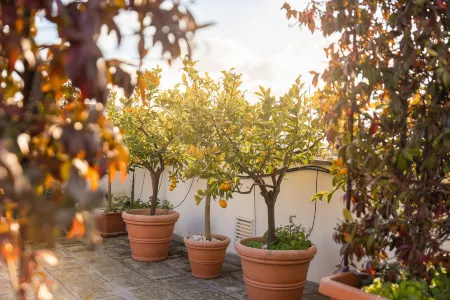 Palazzo Savino Отели в г. Мезанье