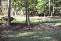 "Sweet Dreams"  -  Near Mentone and Desoto State Park