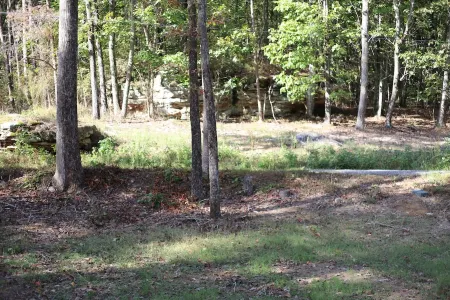 "Sweet Dreams"  -  Near Mentone and Desoto State Park