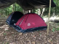 Pacaya Samiria Expeditions E.I.R.L - 2 ดาว