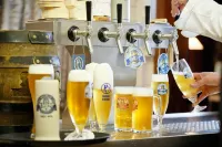 Zum Goldenen Ochsen
