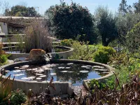 breakfastunderatree Hotels near Estatua de D. Gualdim Pais