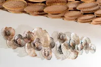 Maluk Stay Hotels in Sekongkang