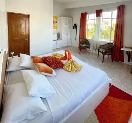 Cocoon Paradise Отели в г. Альбьон