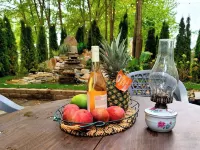 Relax in the City at Our Unique Yurt Retreat