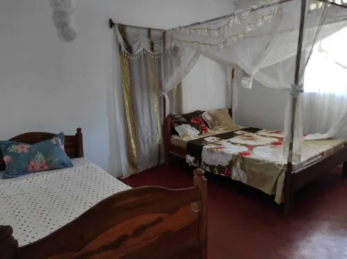 Maison Meublé au Coin du Paradis