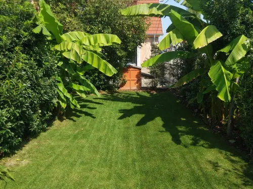 Wooden cottage 20 minutes from Europa-park