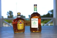 Treasure Beach Inn and Bar #5