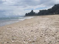 Relaxation and sea near Cerrano Hotel a Pineto