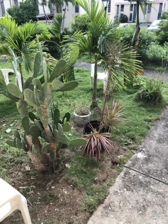 Good Hope Get Away Best Stay in Frederiksted