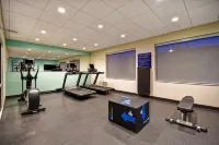 Tru by Hilton Cincinnati Airport South Florence - gimnasio