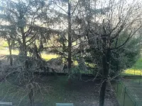 Residence Parco dei Tigli