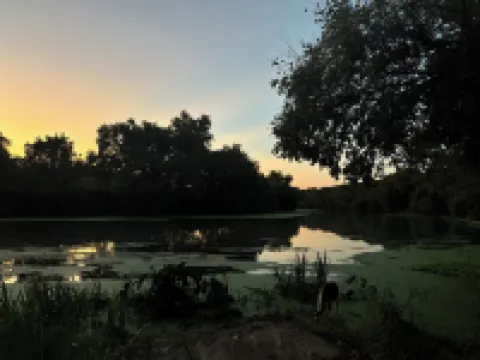 Relax and Recuperate at Garbo’s Goodnight Colorado River Cabin