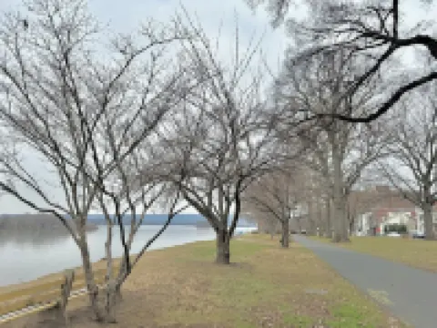 Cozy waterfront 2BR/3 Beds w./ Modern meets Historical Charm/Chic