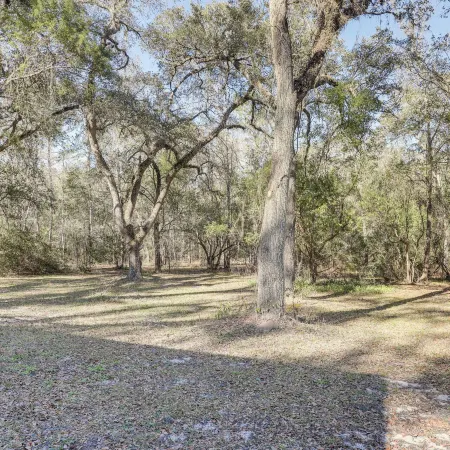 Peaceful Mcalpin Home on 5 Acres w/ Private Deck!