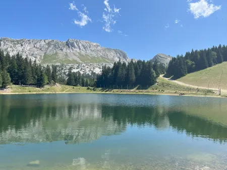 STUDIO AT THE FOOT OF THE SLOPES Отели в г. Виллар-де-Ланс