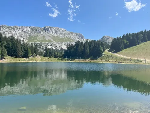 STUDIO AT THE FOOT OF THE SLOPES