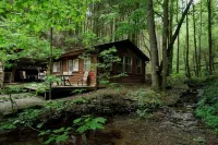 Cozy KOI COVE with AC and WiFi at magical Mulberry Gap!