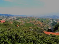 Benk Villa, Camara de Lobos, Madeira Estreito de Camara de Lobos 호텔