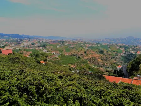 Benk Villa, Camara de Lobos, Madeira Отели рядом с достопримечательностью «Camara de lombos»