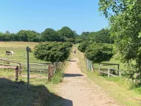 Hof Eckhorst - View apartment - Stylish ambience & cozy atmosphere 居比住宿飯店