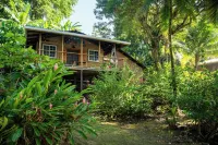 REEF HOUSE: Waterfront, Caribbean Paradise Jungle Cabin in Bastimentos w/ AC