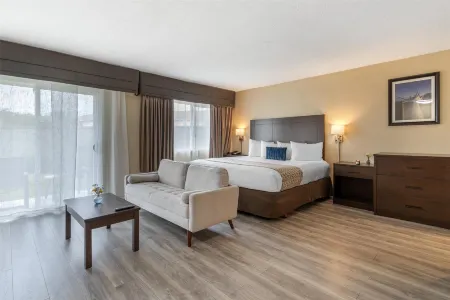 베스트 웨스턴 웨스트민스터 인