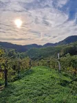 Apartments in the heart of the prosecco hills of Conegliano and Valdobbiadene Các khách sạn ở Farra di Soligo