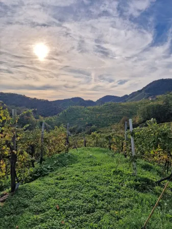 Apartments in the heart of the prosecco hills of Conegliano and Valdobbiadene