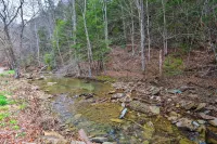 Cozy Creekside Cabin ~ 24 Mi to Red River! - WiFi