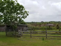 Little Fish House Casita de Peces Sugar Sand Farm