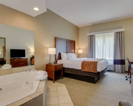 Comfort Inn & Suites Augusta Fort Eisenhower Area Hotels in Augusta