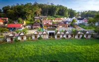Bamboo Shack Hotels in 