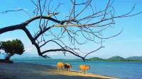 Catappa Village Lombok - Ocean View