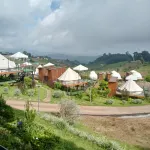 ม่อนดาวเรือง ม่อนแจ่ม