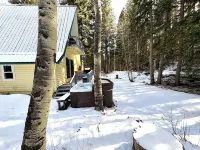 Lazy Me ~ A Magical Creek-front Cabin with Hot Tub! Private Woods