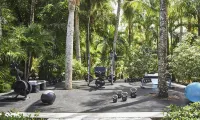 The Ocean Club, A Four Seasons Resort, Bahamas - Phòng tập thể hình