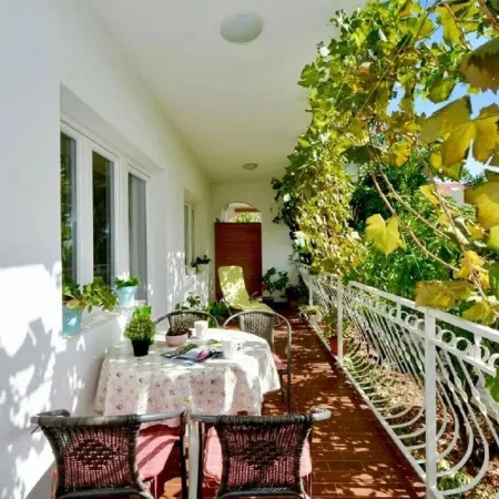 Apartments Paz