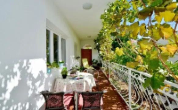 Apartments Paz