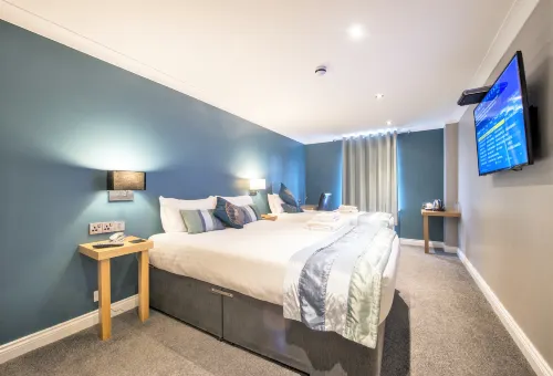 Dolphin Rooms