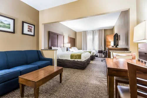 Comfort Suites Sioux Falls Mall District - piscina