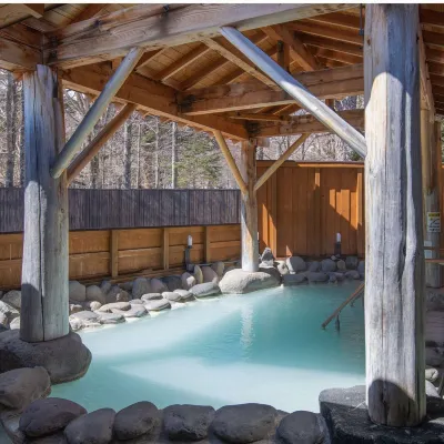 Okunikko Kogen Hotel Hotels near Onsen-ji Temple